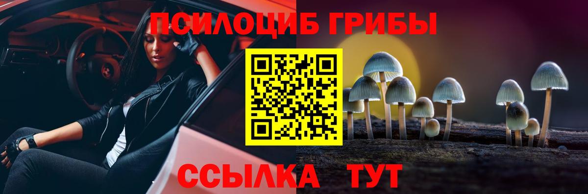 Псилоцибиновые грибы мицелий Кохма